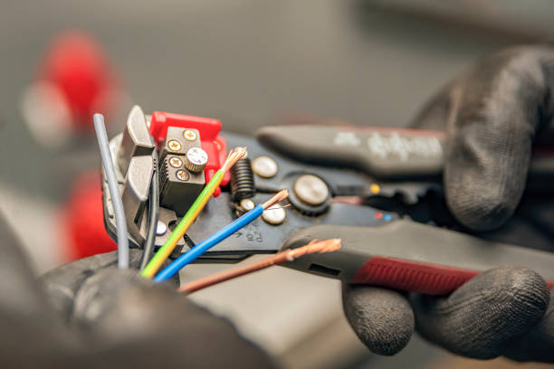 Best Electric Panel Repair  in Rock Springs, NM